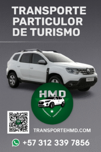 Imagen De La Galería